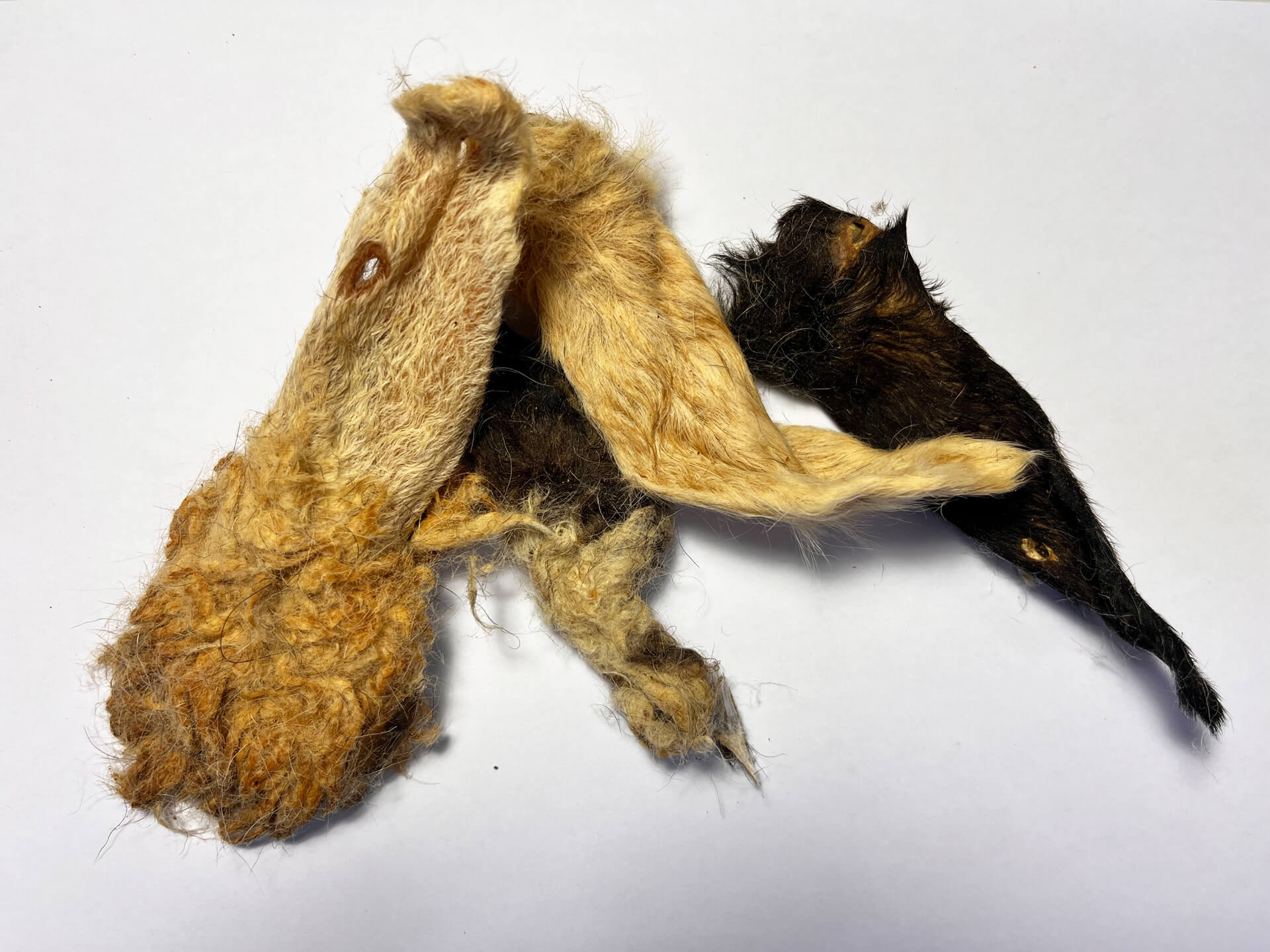 lammohren mit fell kauartikel lamm